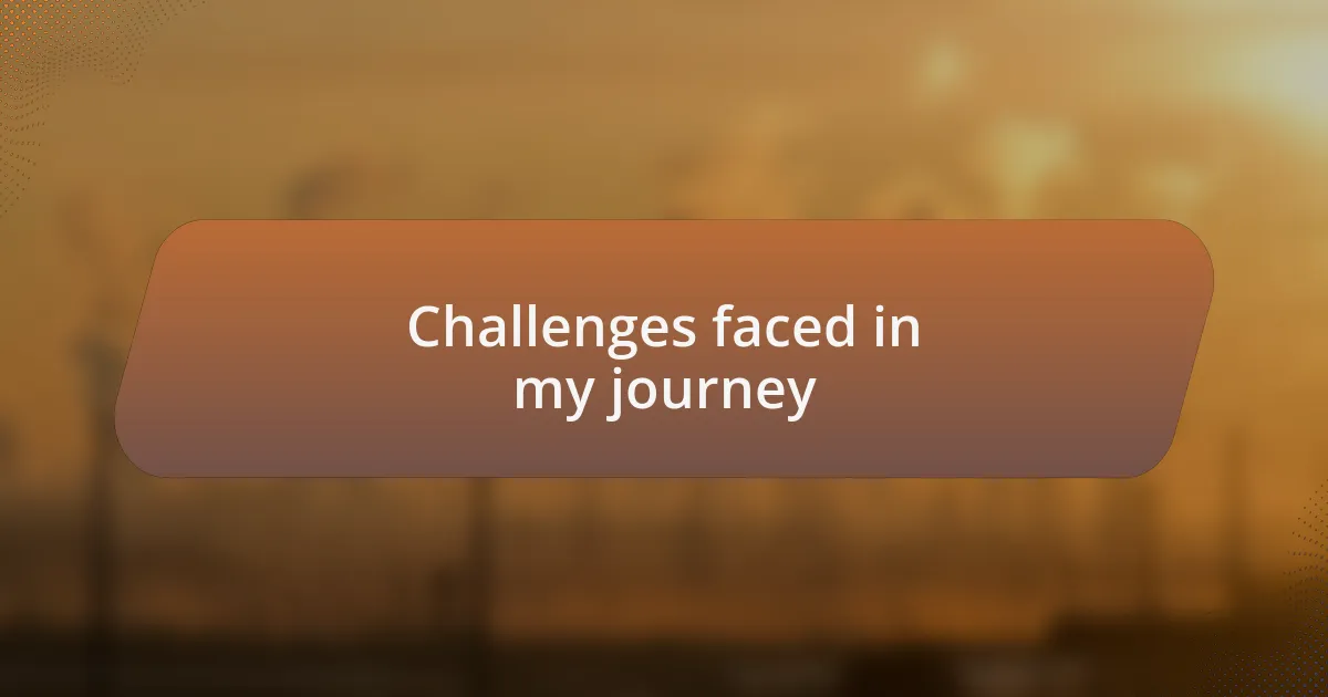 Challenges faced in my journey