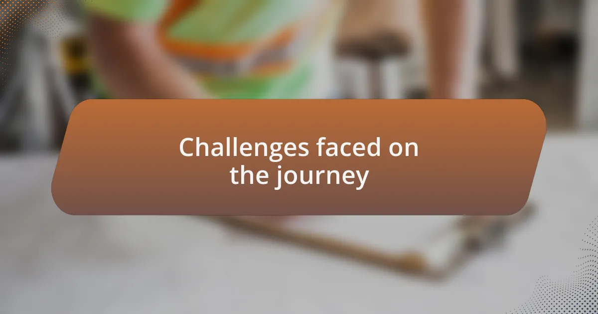 Challenges faced on the journey