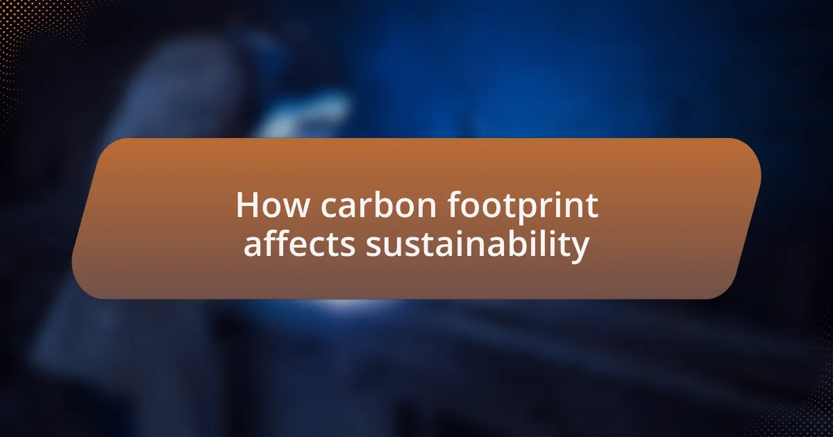 How carbon footprint affects sustainability