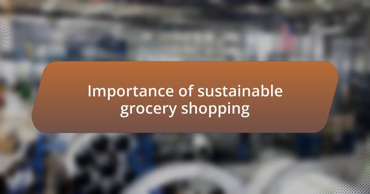 Importance of sustainable grocery shopping