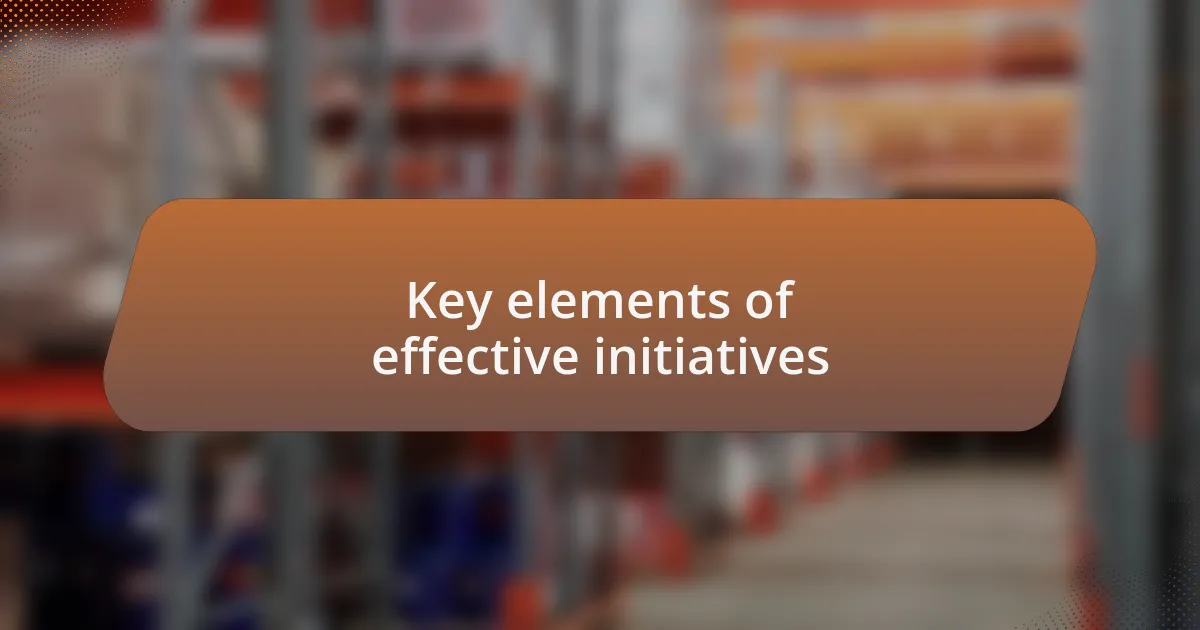 Key elements of effective initiatives