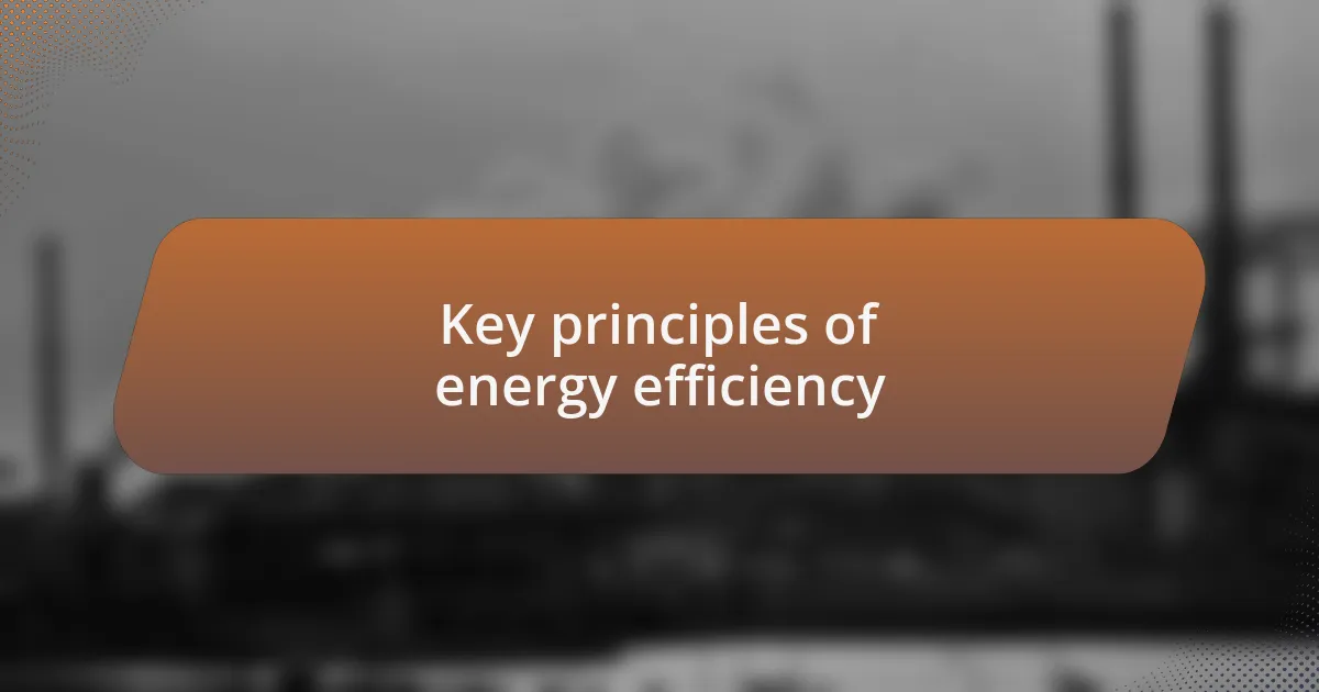 Key principles of energy efficiency