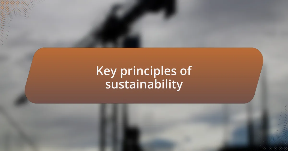 Key principles of sustainability
