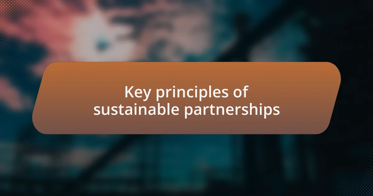 Key principles of sustainable partnerships