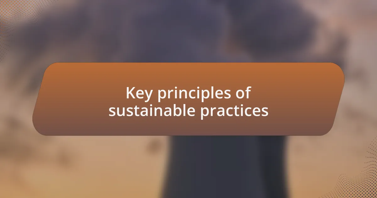 Key principles of sustainable practices