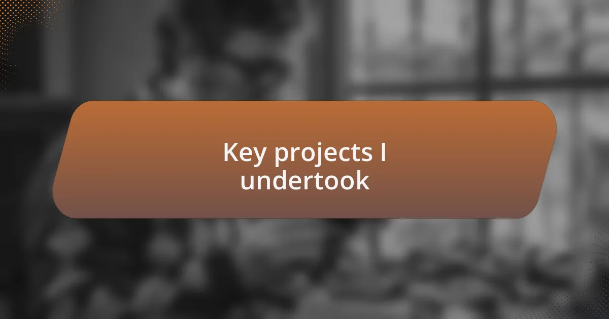 Key projects I undertook