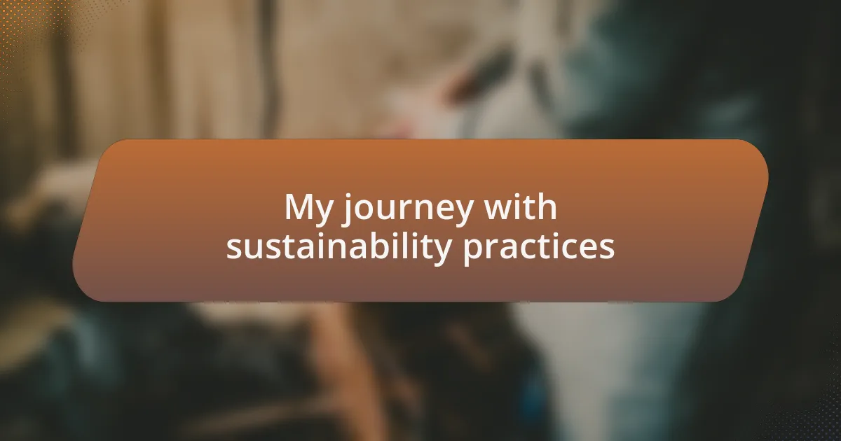 My journey with sustainability practices