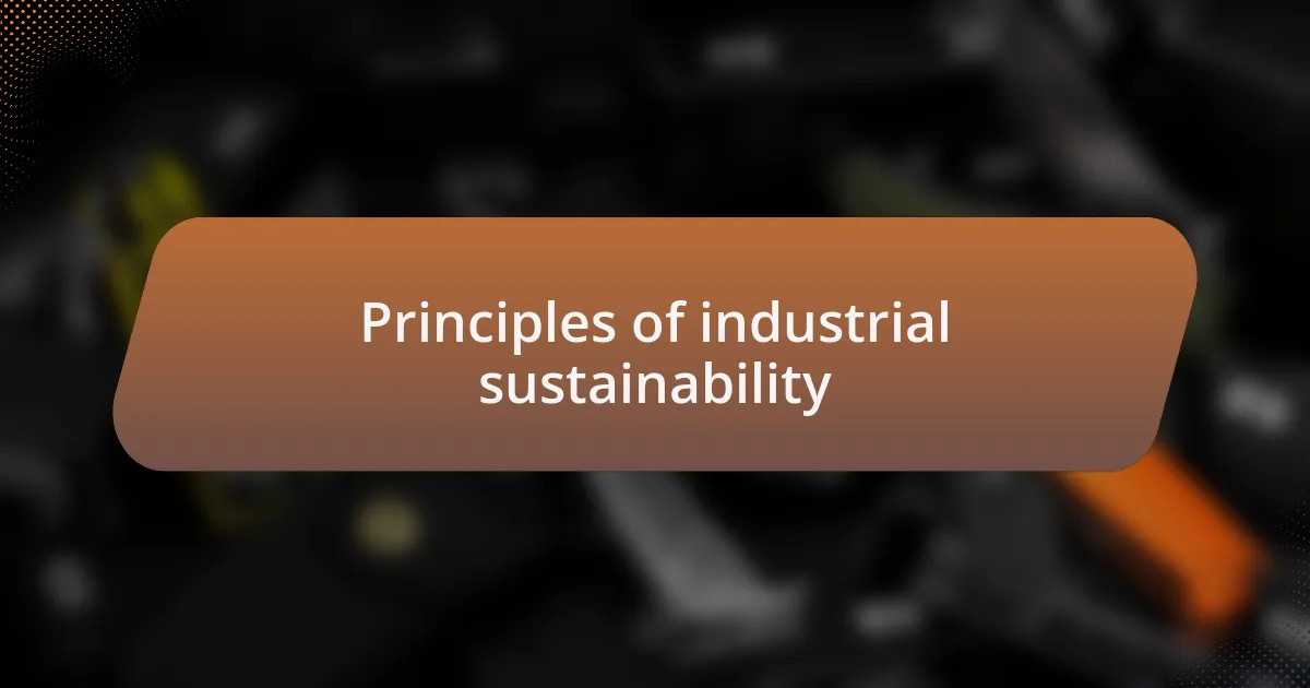Principles of industrial sustainability
