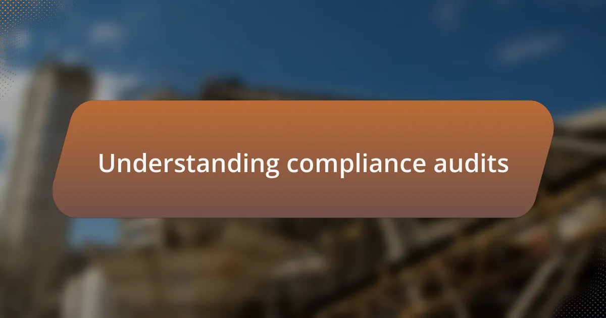 Understanding compliance audits
