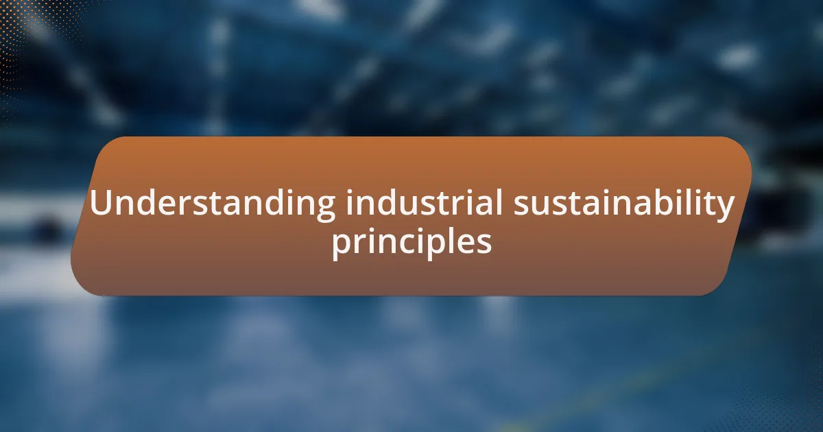 Understanding industrial sustainability principles