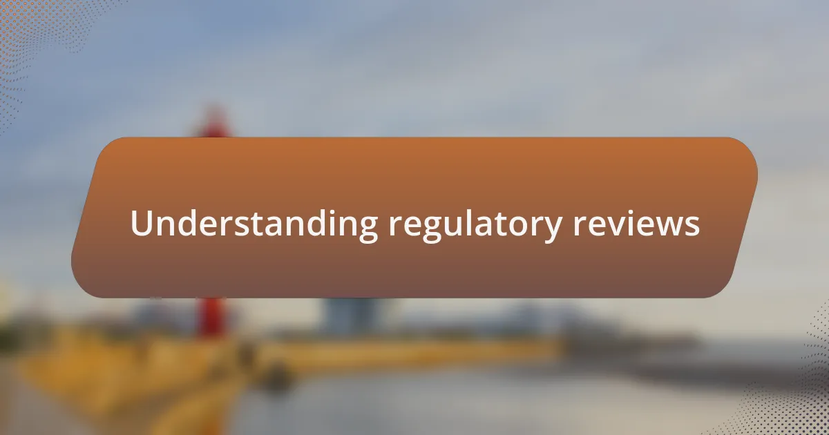 Understanding regulatory reviews